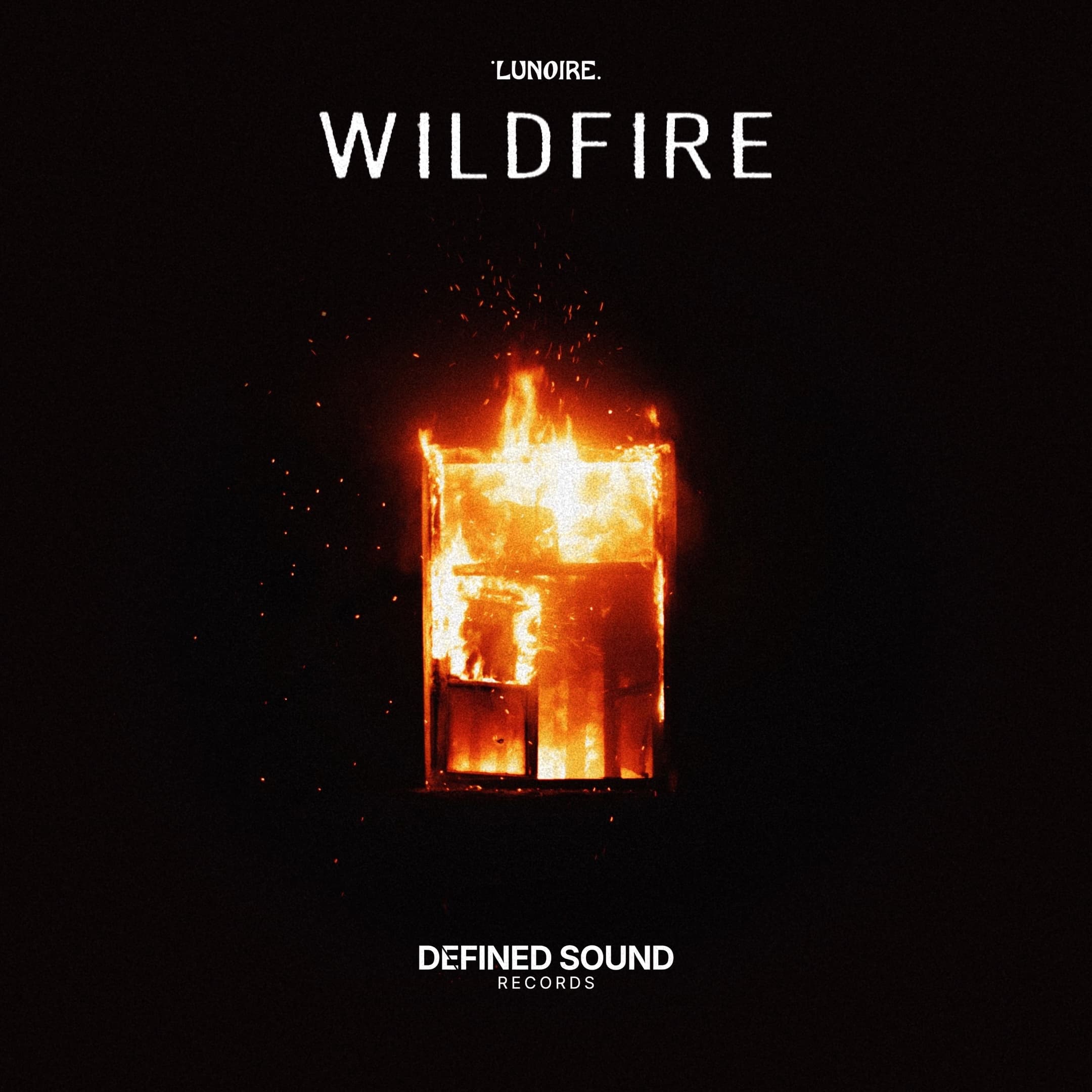 Cover Art - wildfire